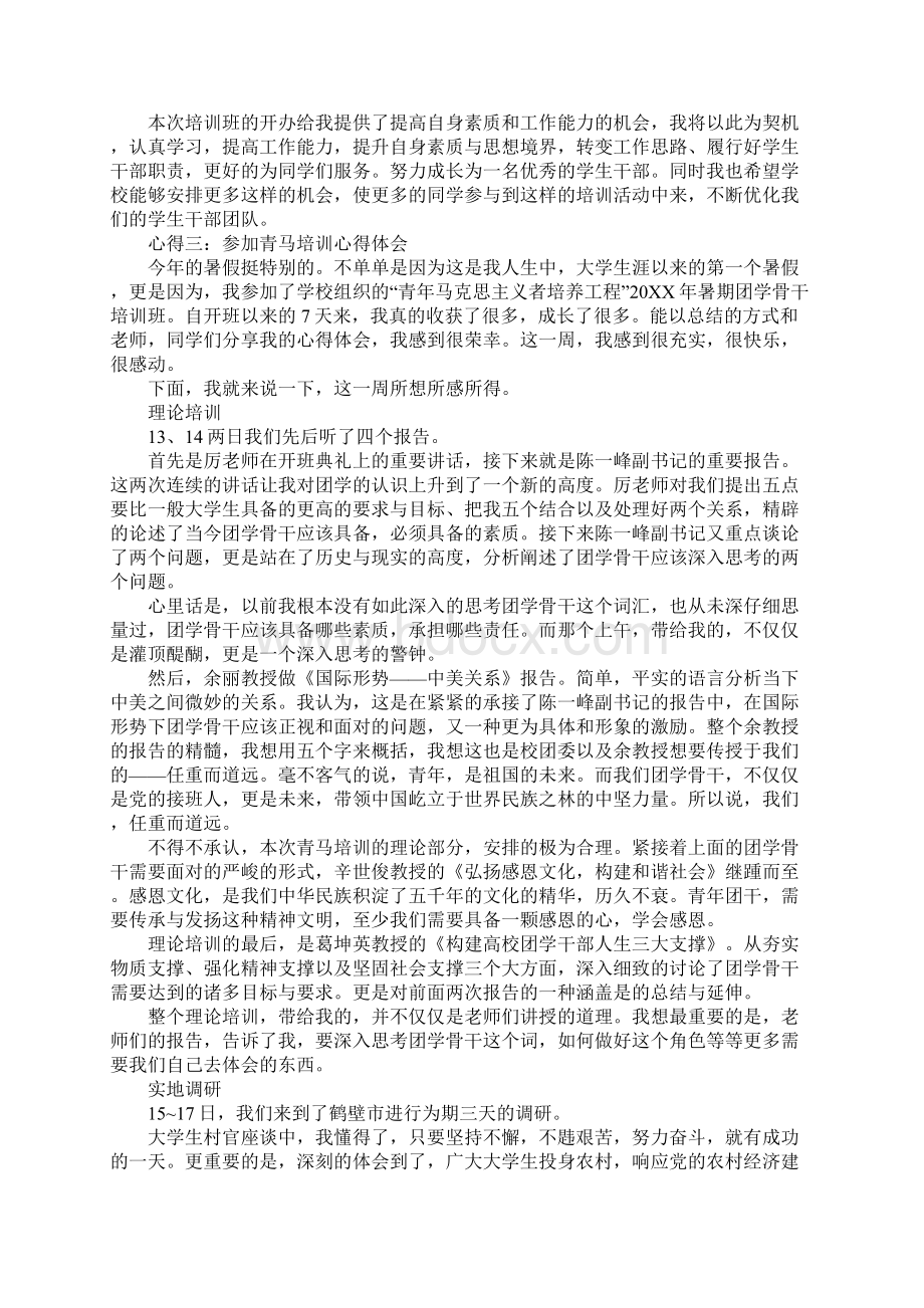 参加青马培训心得体会文档格式.docx_第3页