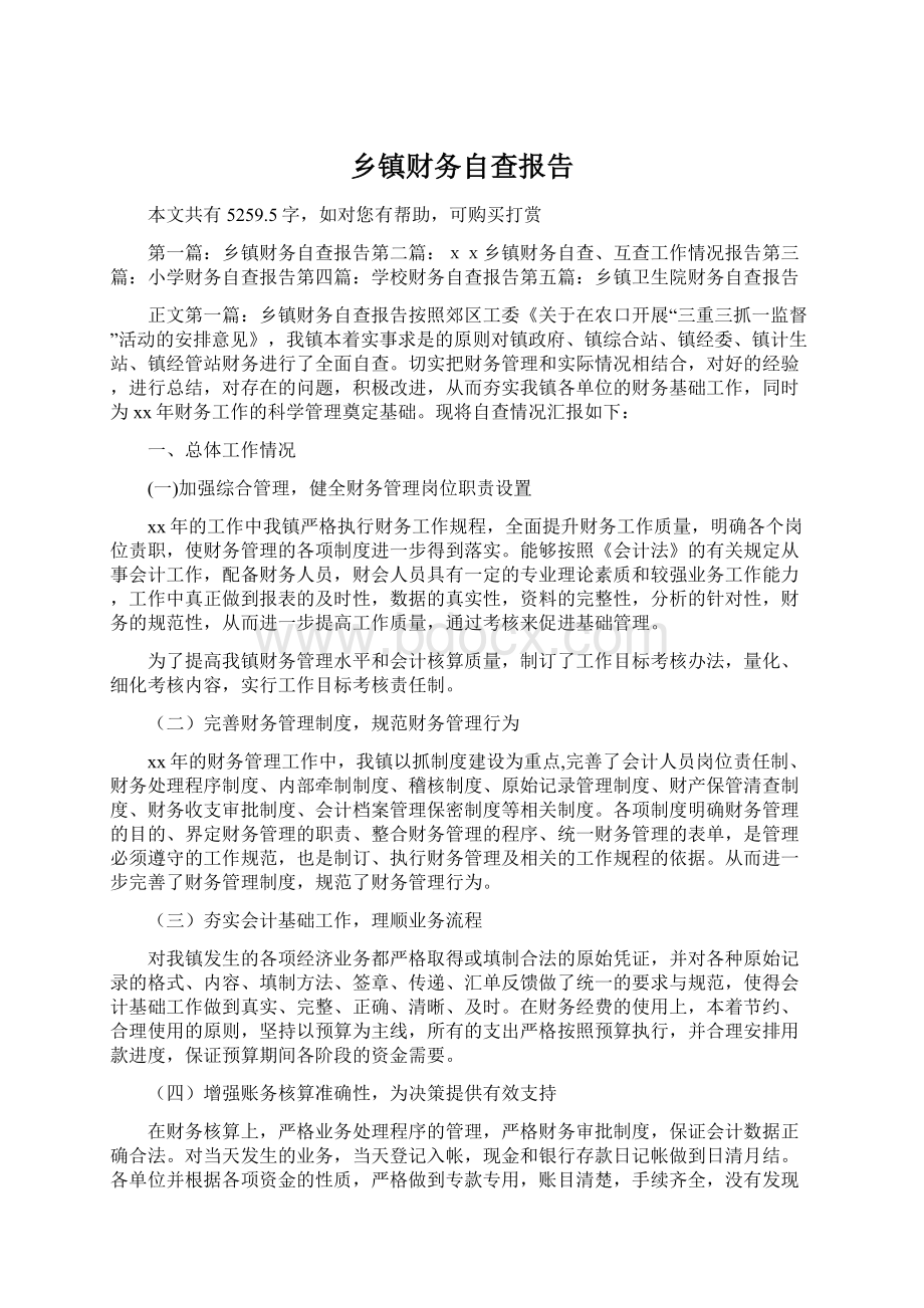 乡镇财务自查报告.docx_第1页