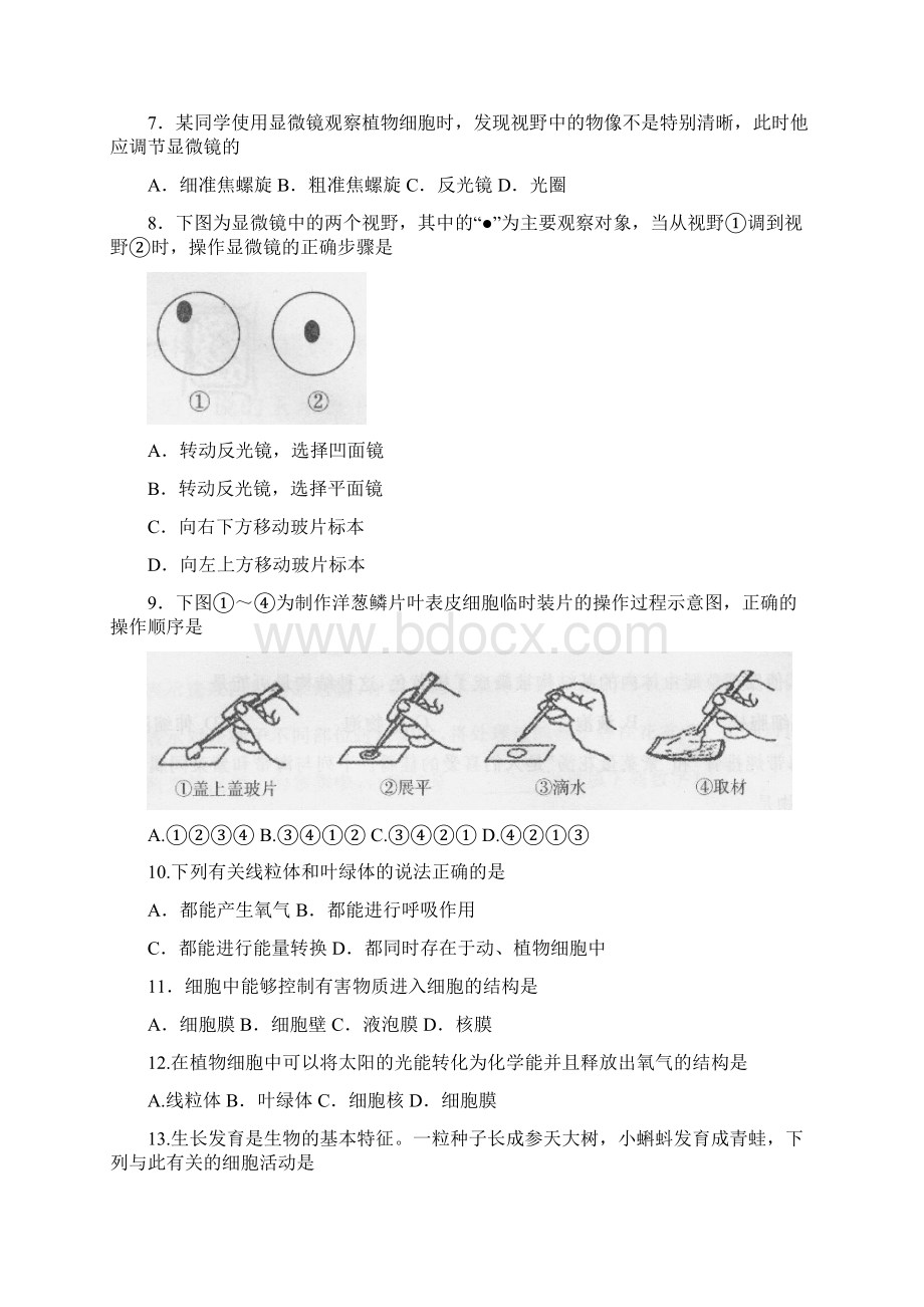 北京市东城区学年七年级生物上学期期末考试试题 新人教版文档格式.docx_第2页