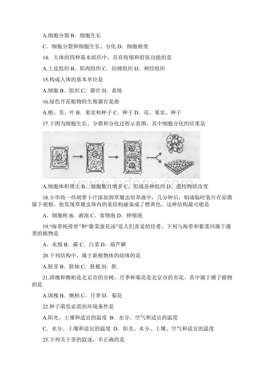 北京市东城区学年七年级生物上学期期末考试试题 新人教版文档格式.docx_第3页