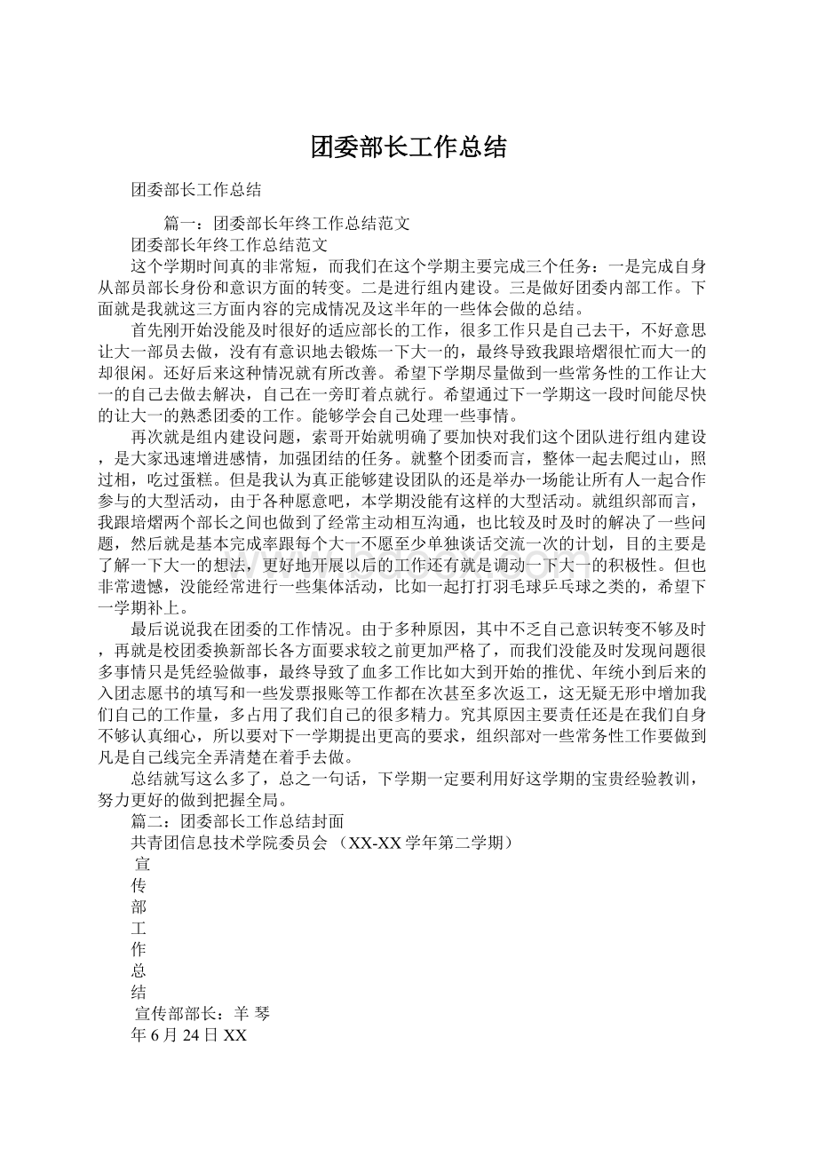 团委部长工作总结.docx