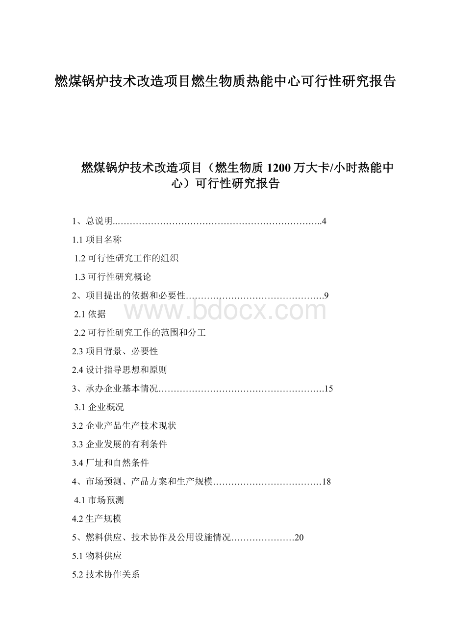 燃煤锅炉技术改造项目燃生物质热能中心可行性研究报告文档格式.docx