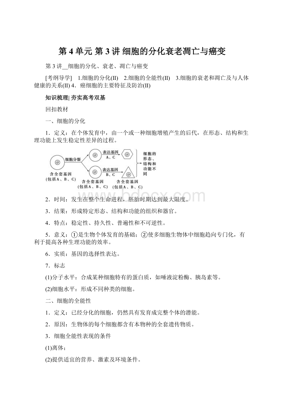 第4单元 第3讲 细胞的分化衰老凋亡与癌变.docx_第1页