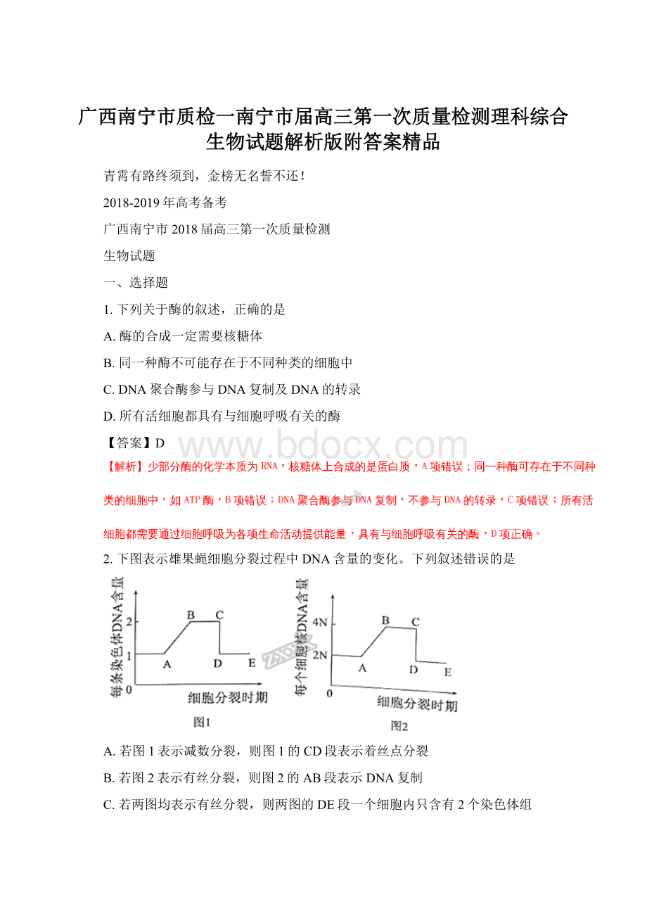 广西南宁市质检一南宁市届高三第一次质量检测理科综合生物试题解析版附答案精品Word文档下载推荐.docx