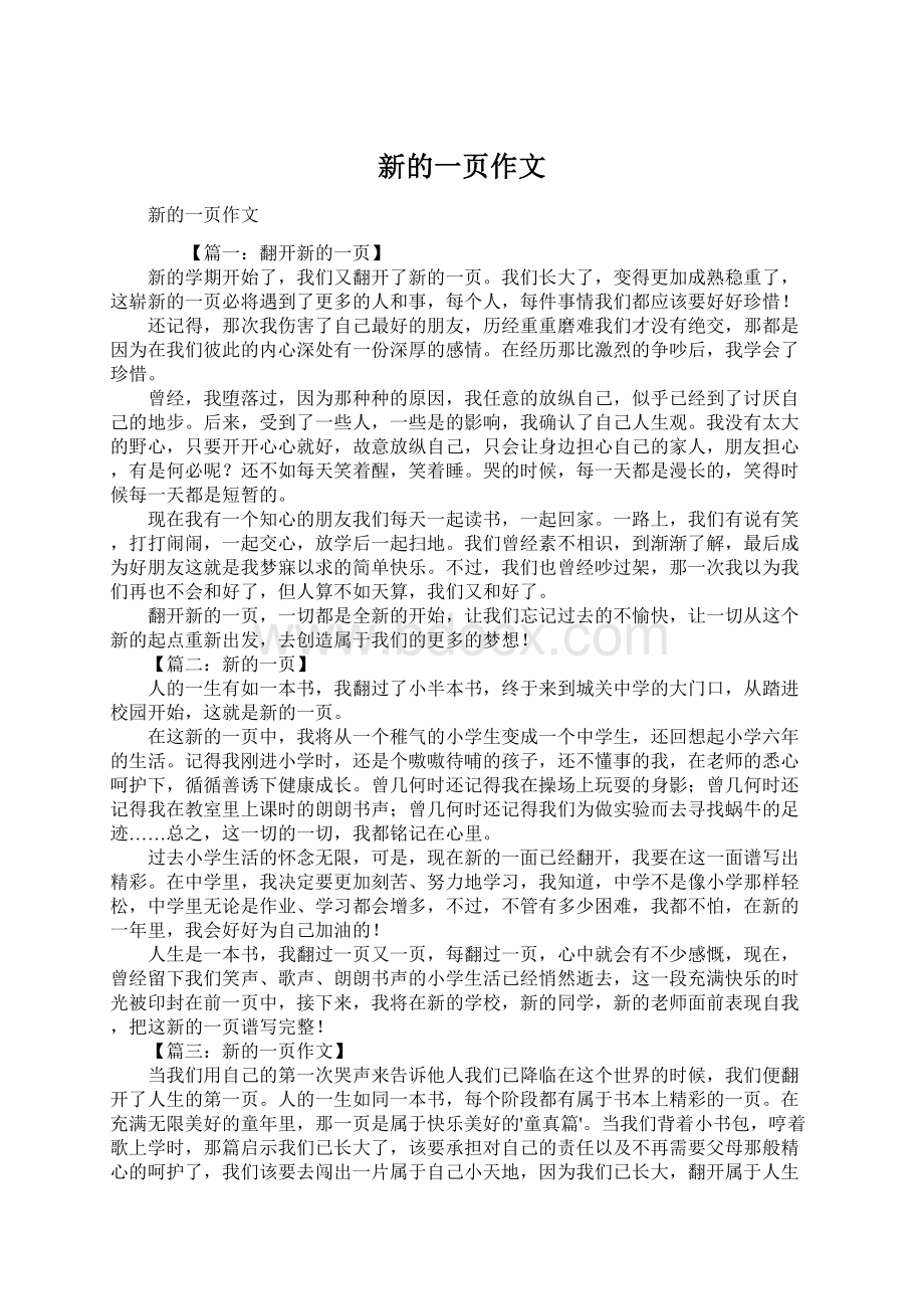 新的一页作文Word格式.docx