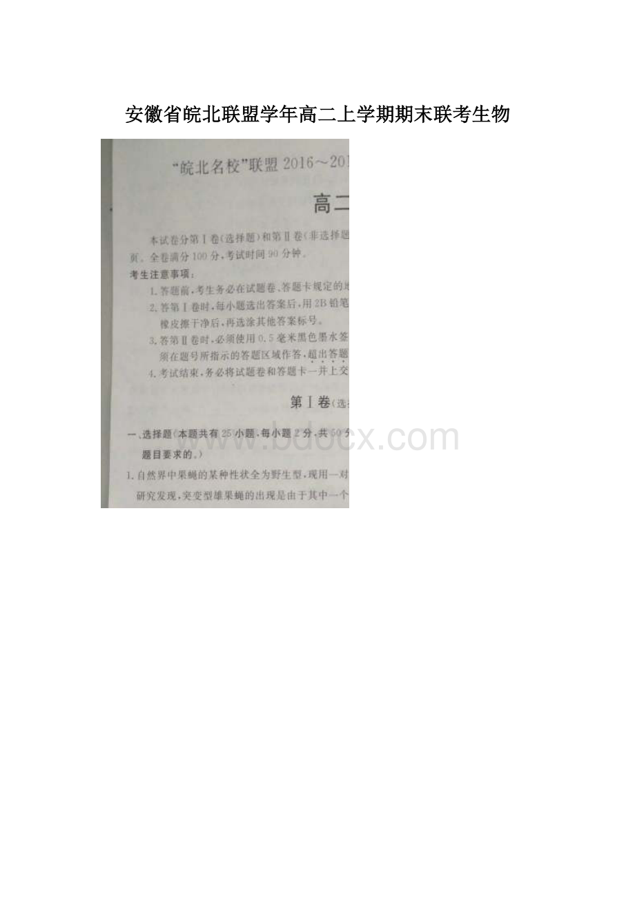 安徽省皖北联盟学年高二上学期期末联考生物Word下载.docx_第1页