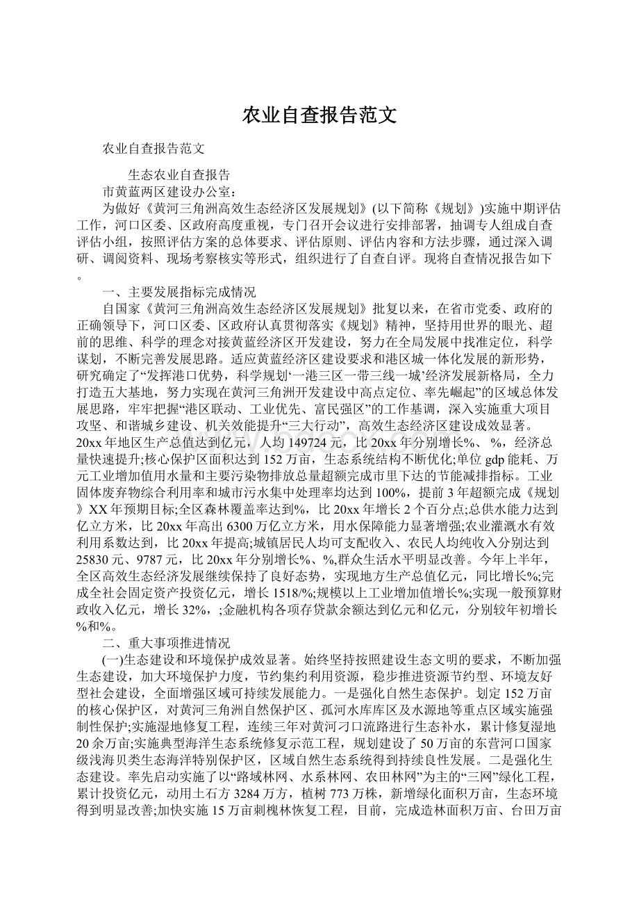 农业自查报告范文Word格式文档下载.docx