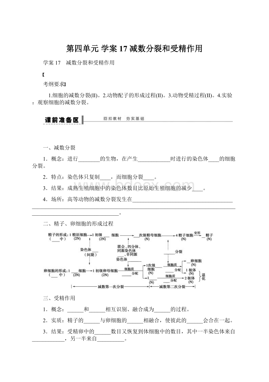 第四单元 学案17 减数分裂和受精作用.docx_第1页