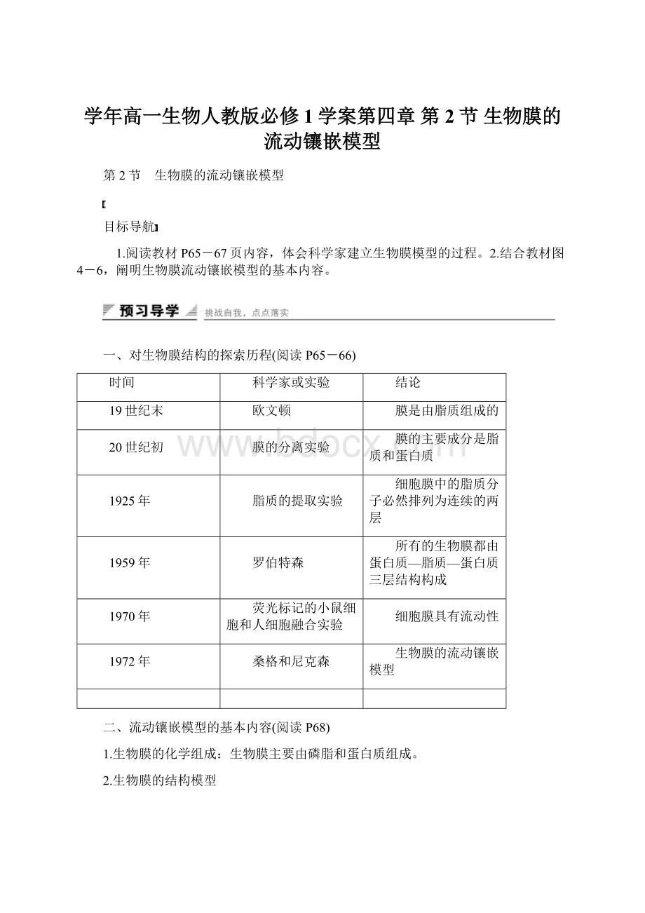 学年高一生物人教版必修1学案第四章 第2节 生物膜的流动镶嵌模型.docx