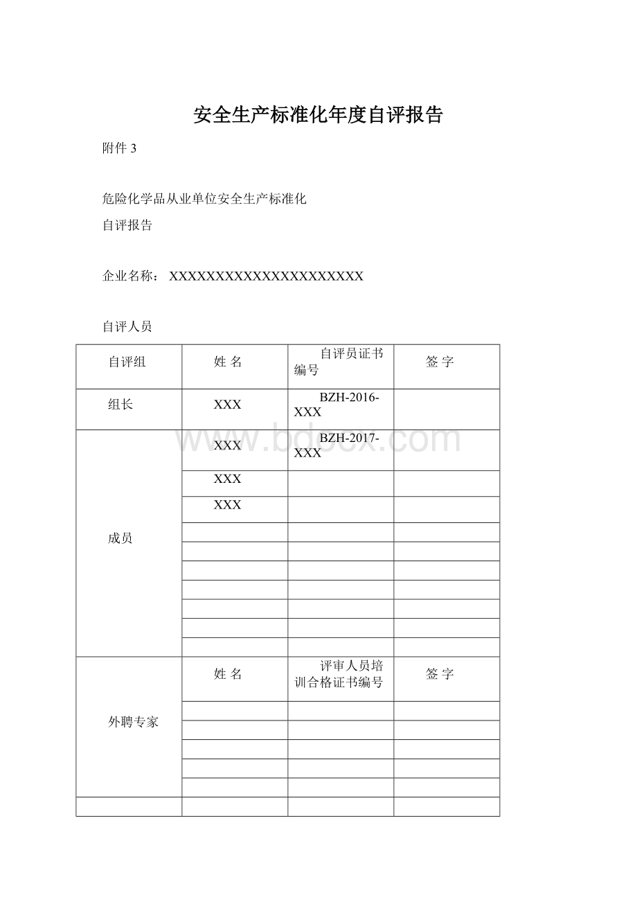 安全生产标准化年度自评报告文档格式.docx_第1页