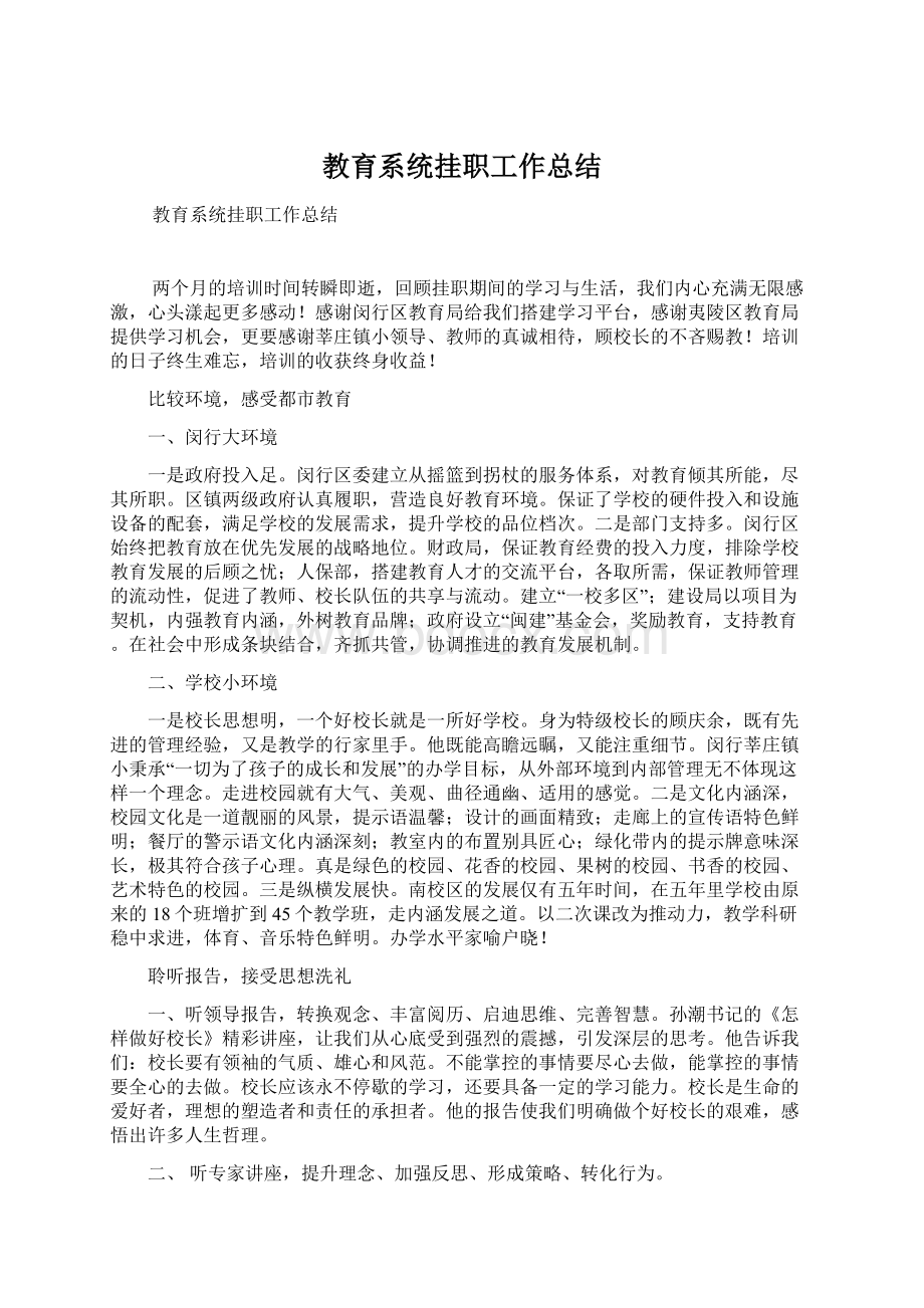 教育系统挂职工作总结Word文档格式.docx