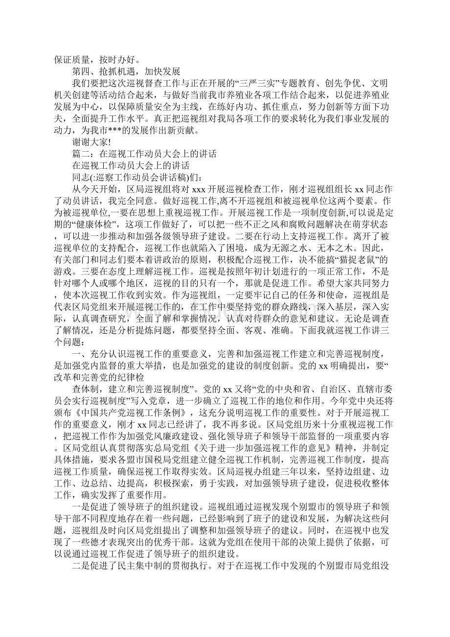 巡察工作动员会讲话稿Word格式文档下载.docx_第2页