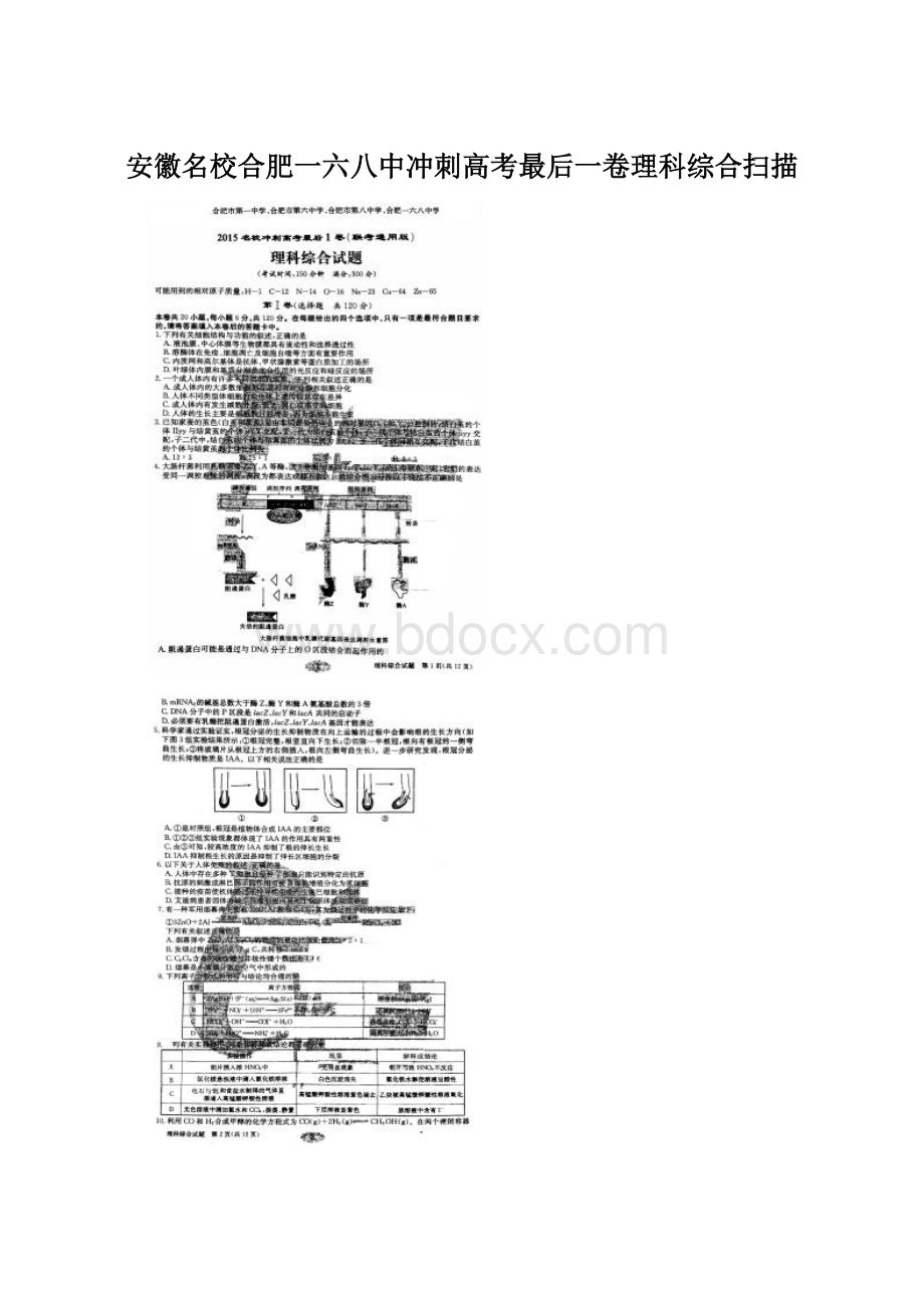 安徽名校合肥一六八中冲刺高考最后一卷理科综合扫描.docx