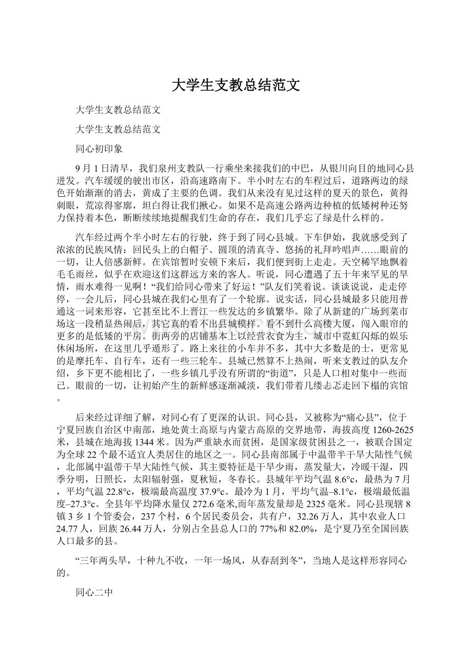 大学生支教总结范文.docx