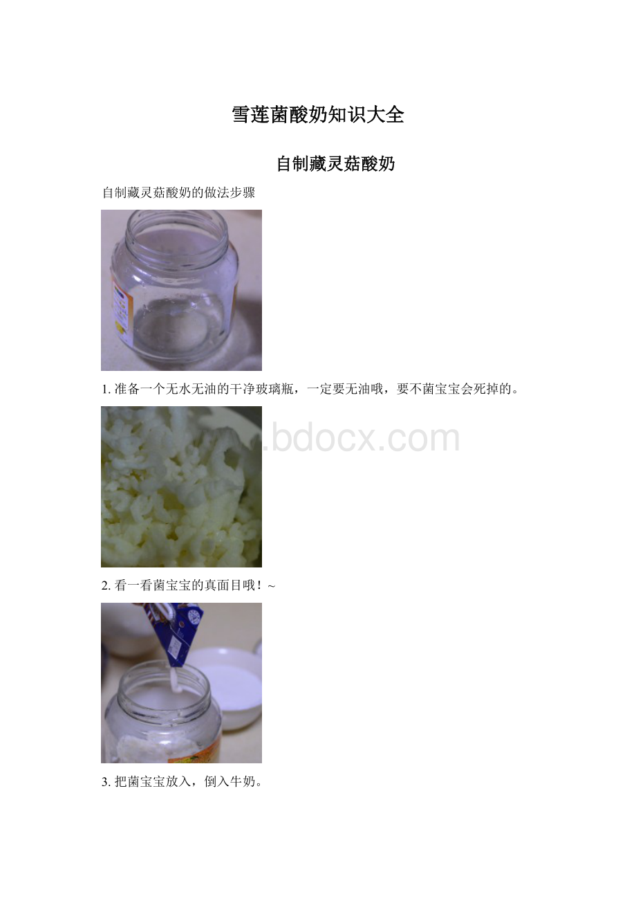 雪莲菌酸奶知识大全.docx