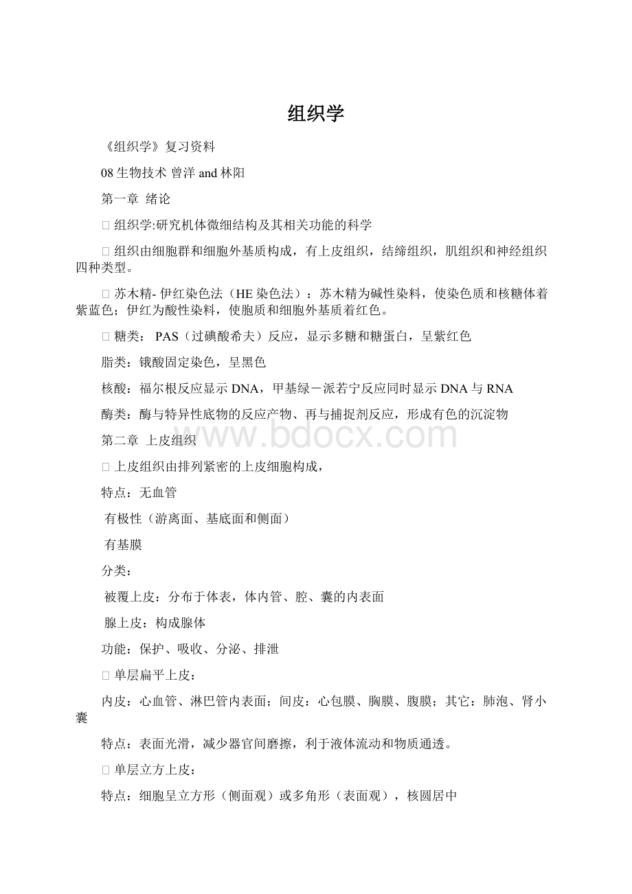 组织学Word格式.docx