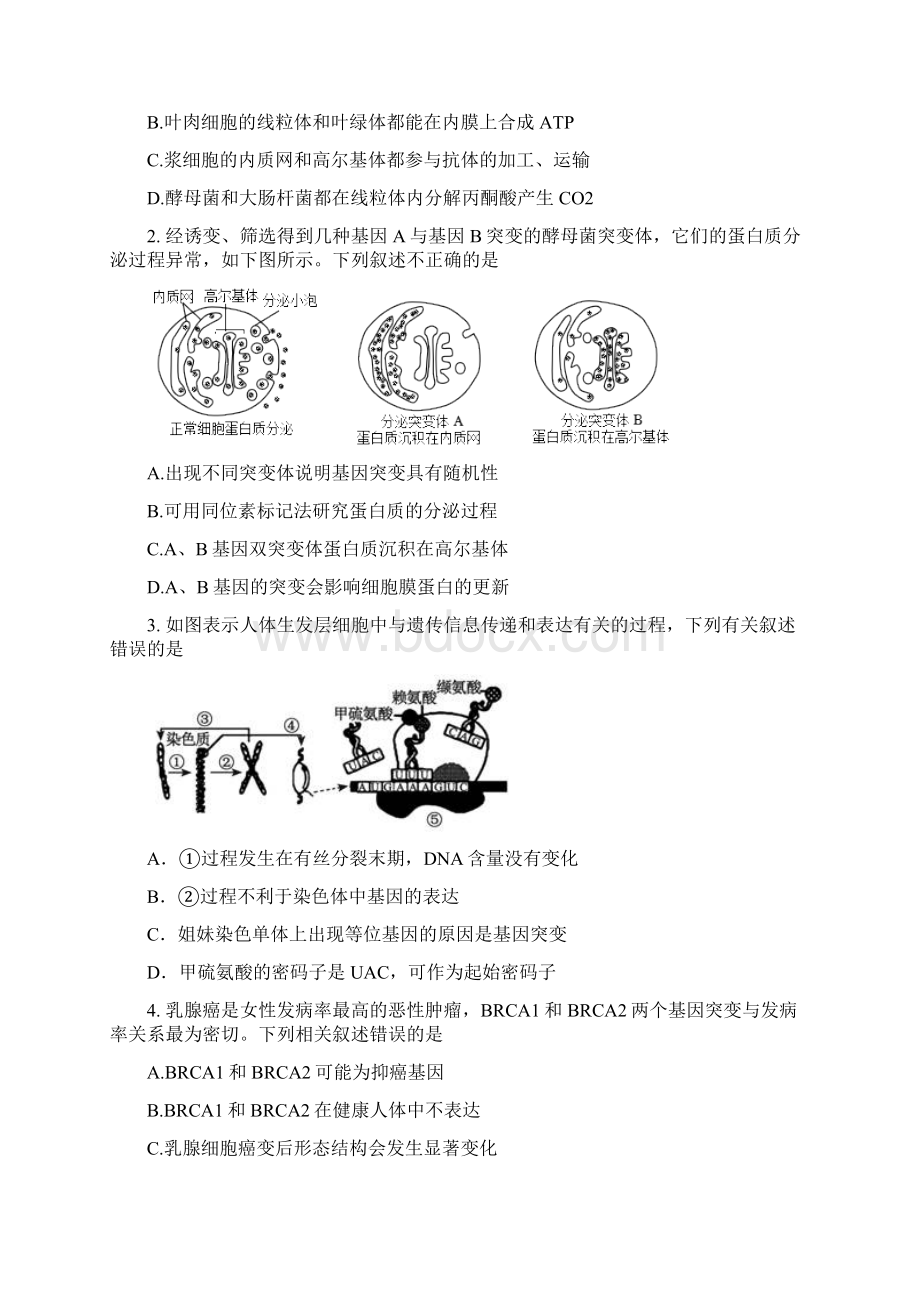 山西省重点中学协作体届高三上学期期中质量检测理科综合试题含答案Word文档下载推荐.docx_第2页