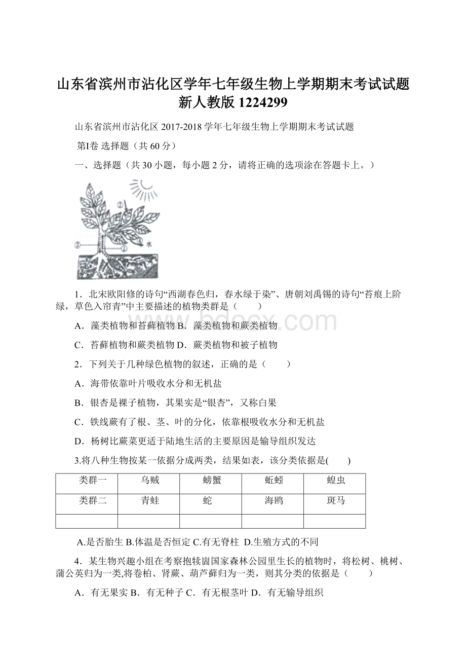 山东省滨州市沾化区学年七年级生物上学期期末考试试题新人教版1224299Word文件下载.docx_第1页