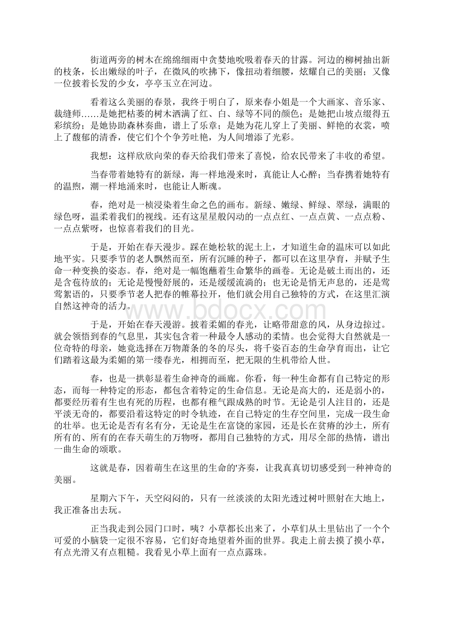 热门美丽的春天五年级作文500字.docx_第2页