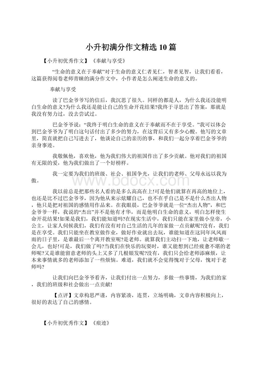 小升初满分作文精选10篇.docx