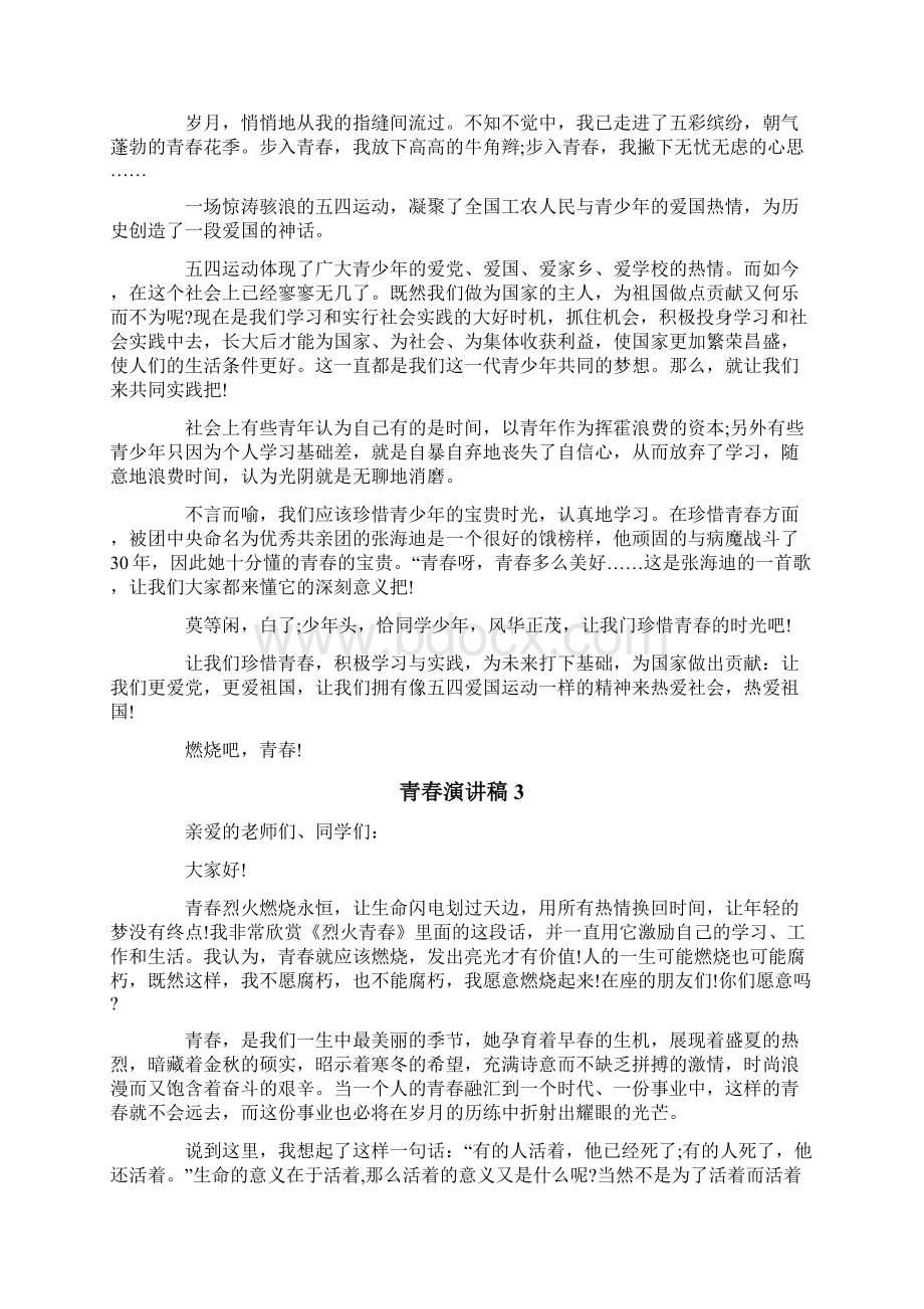 青春演讲稿范文精选10篇文档格式.docx_第2页