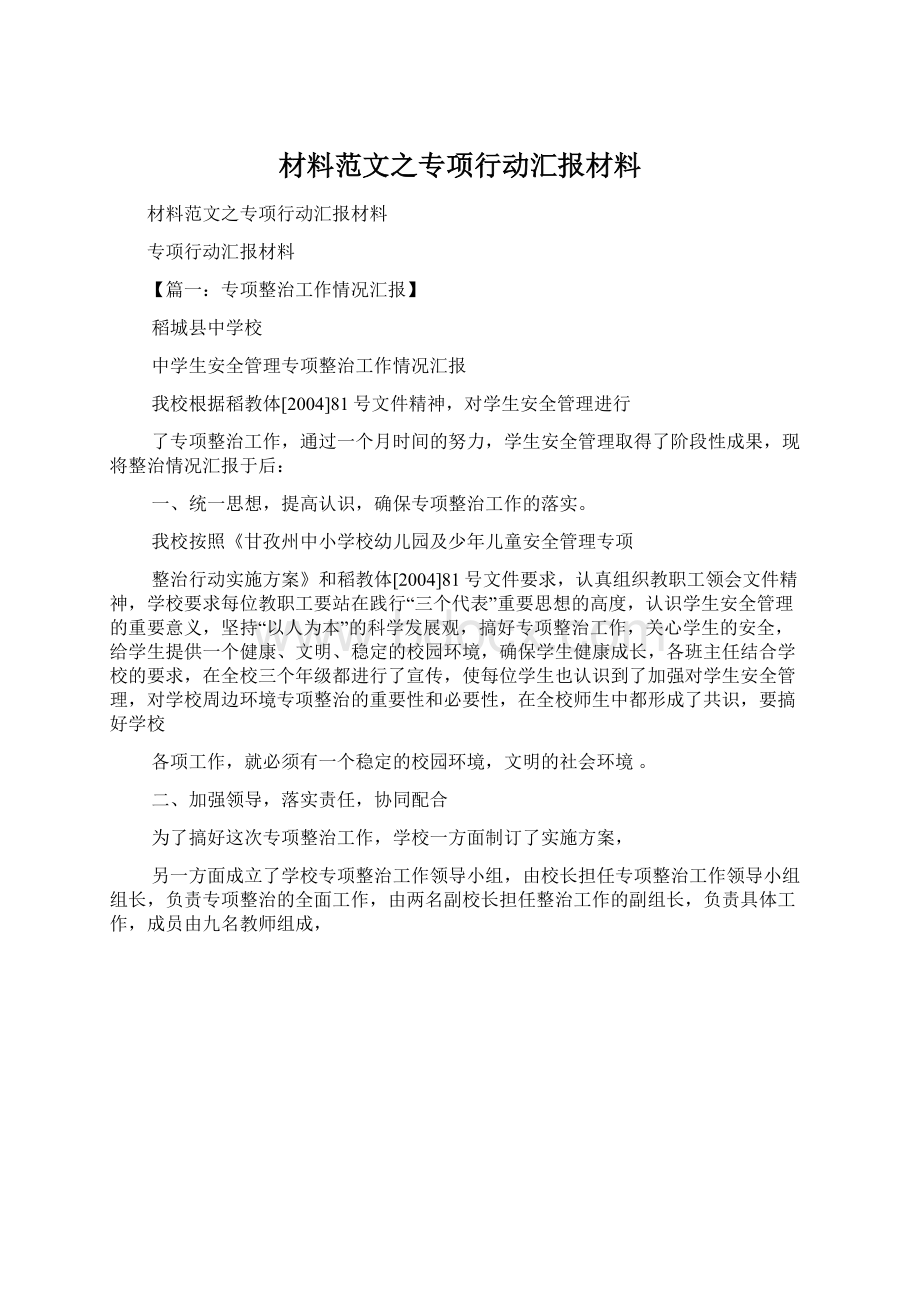 材料范文之专项行动汇报材料.docx