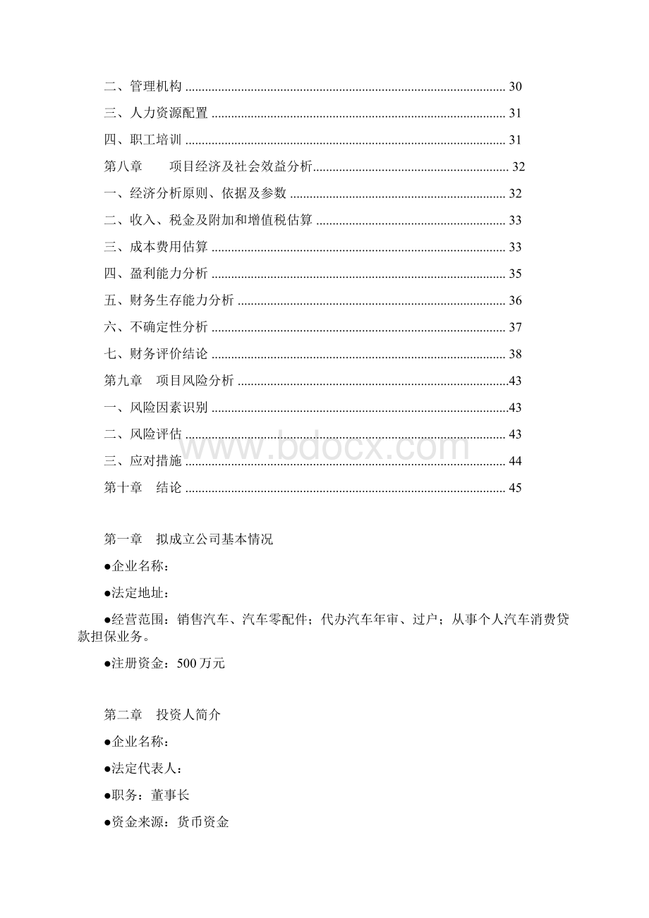 最新个人汽车消费贷款担保项目可行性研究报告Word格式文档下载.docx_第2页