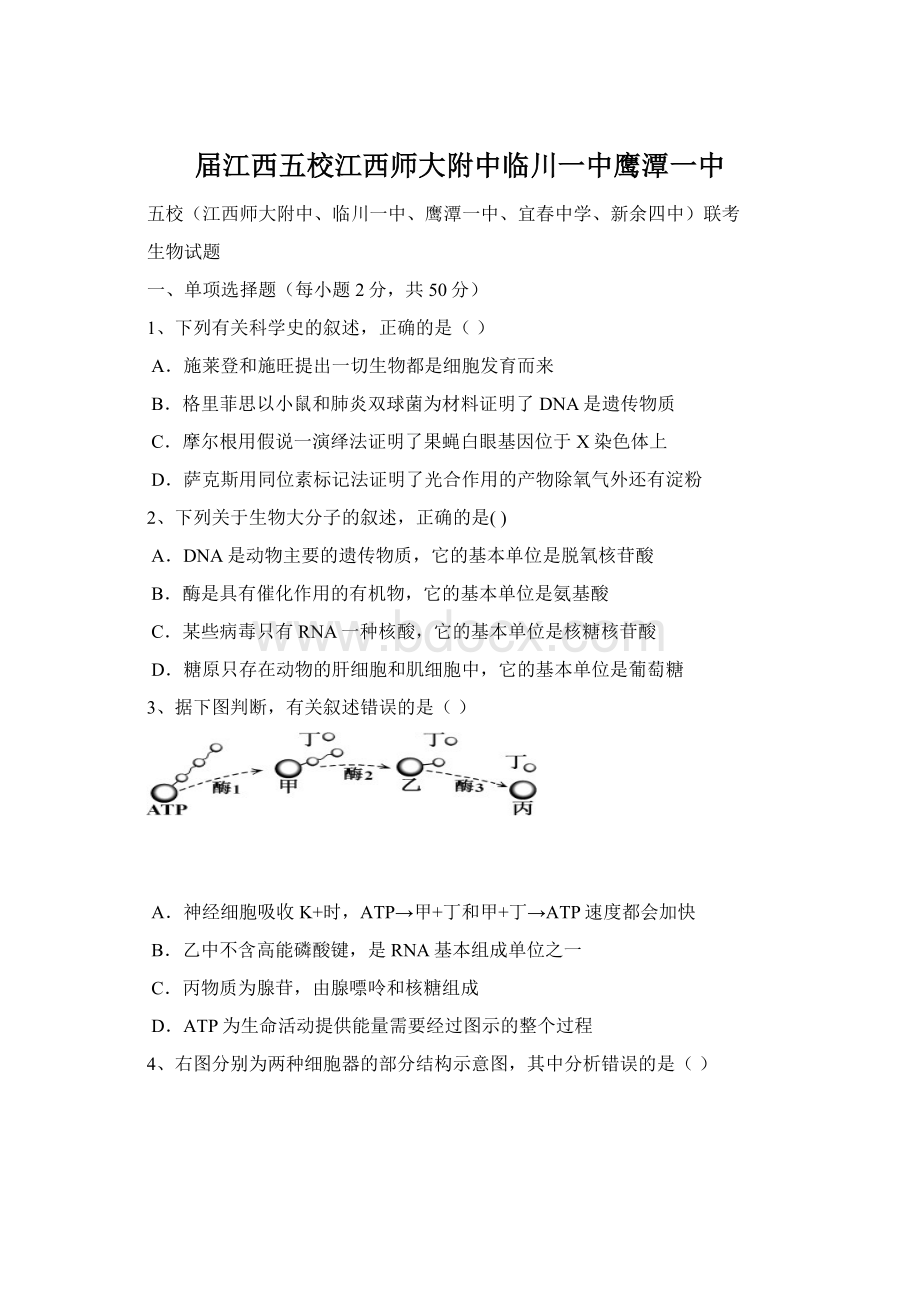 届江西五校江西师大附中临川一中鹰潭一中Word文档格式.docx