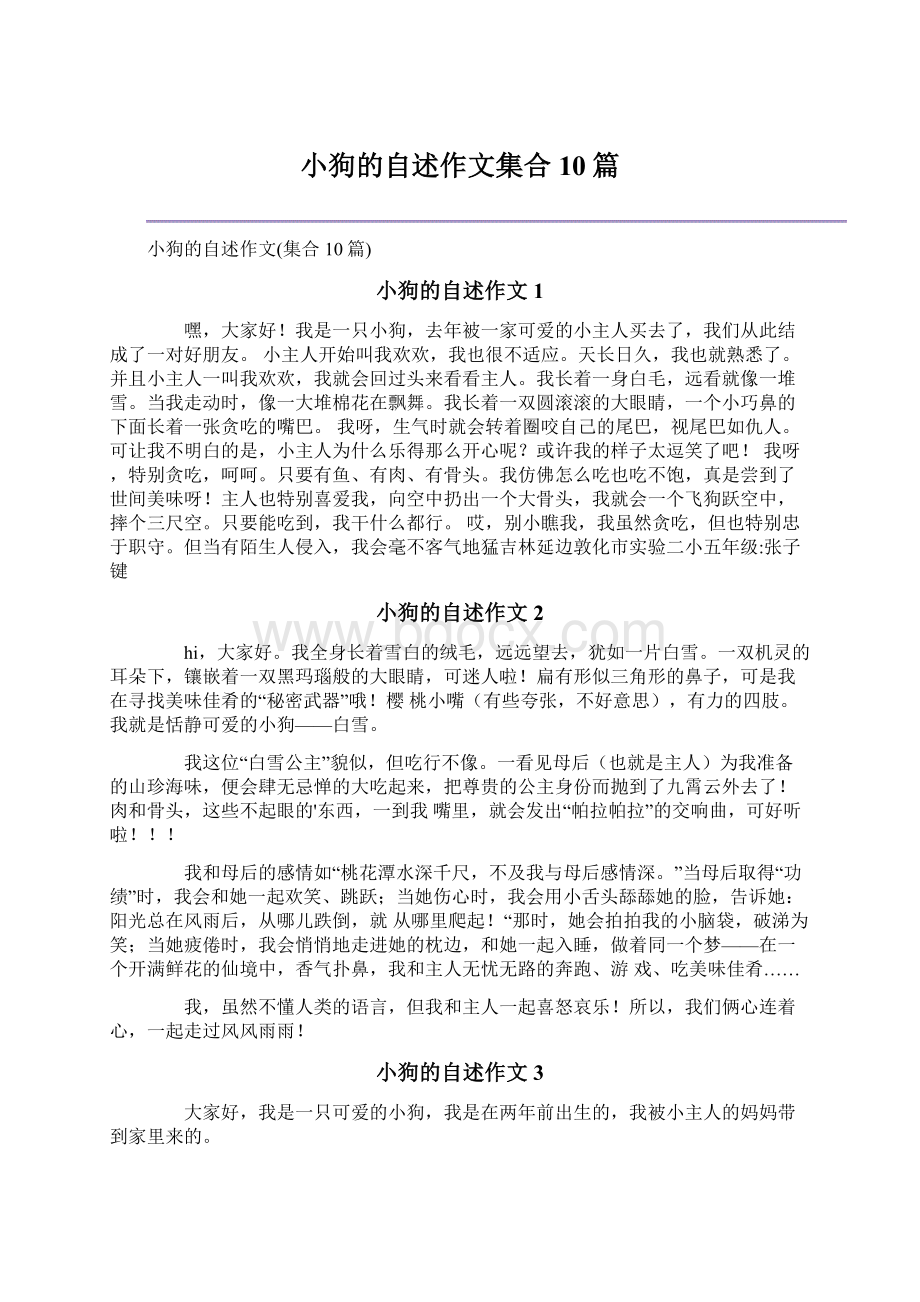 小狗的自述作文集合10篇.docx