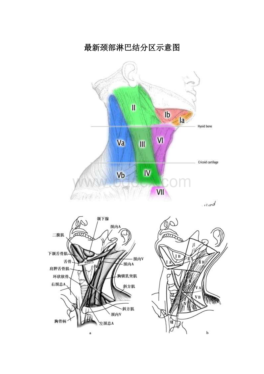 最新颈部淋巴结分区示意图Word文档格式.docx