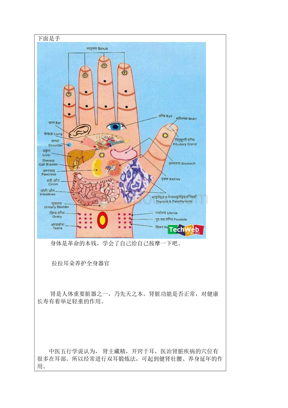 太晚睡觉等于自杀Word格式文档下载.docx_第3页