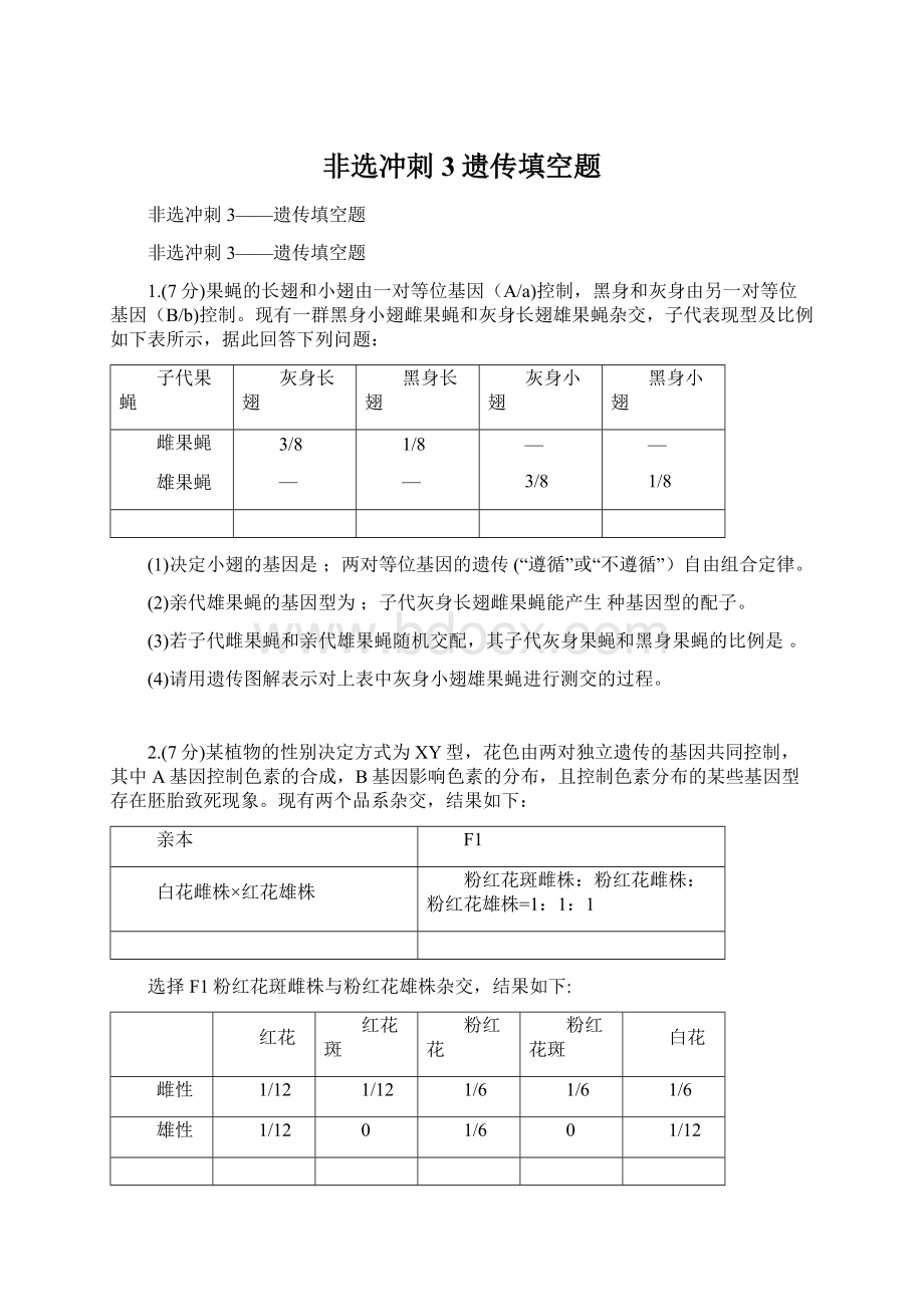 非选冲刺3遗传填空题Word下载.docx