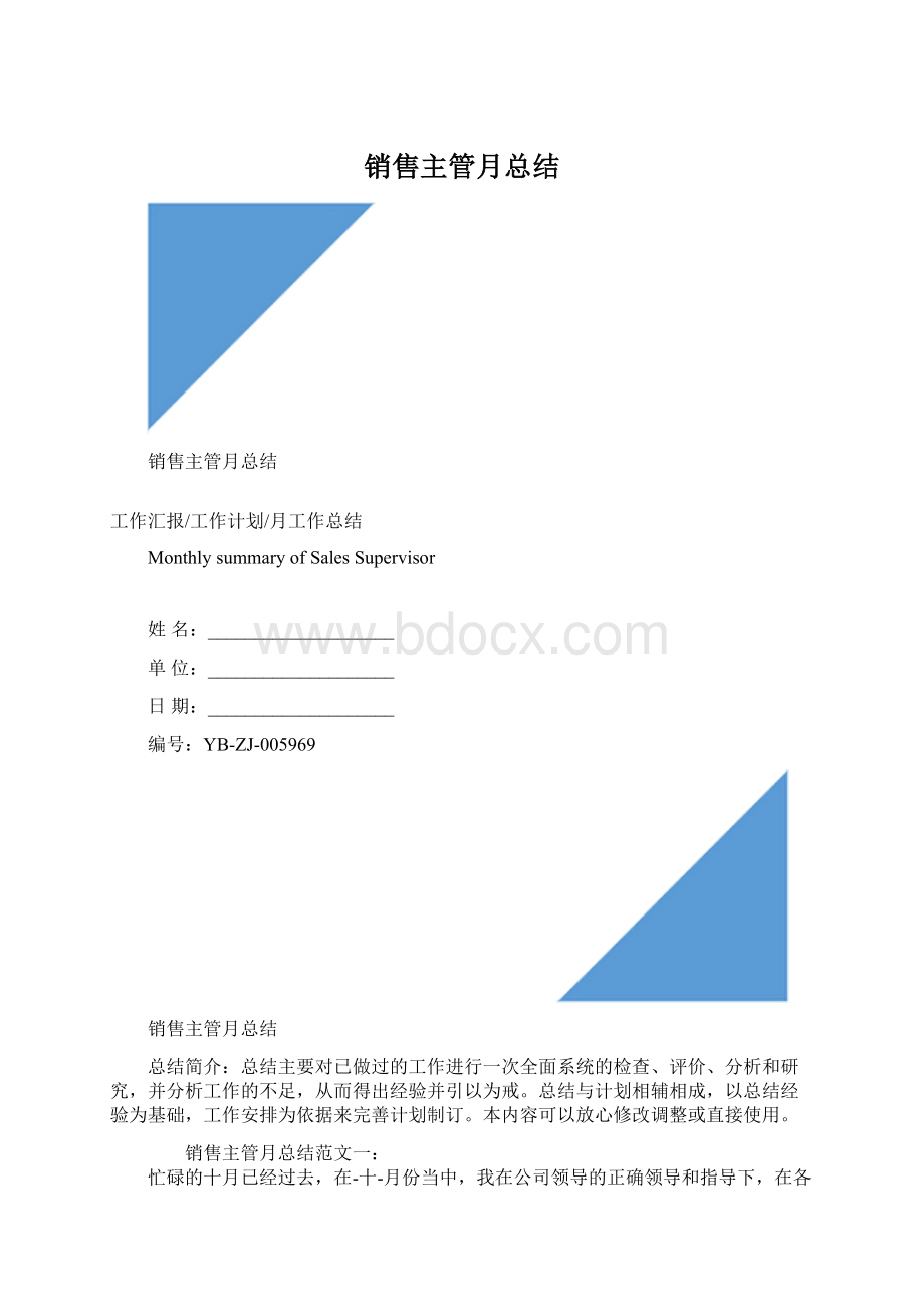 销售主管月总结Word文档格式.docx