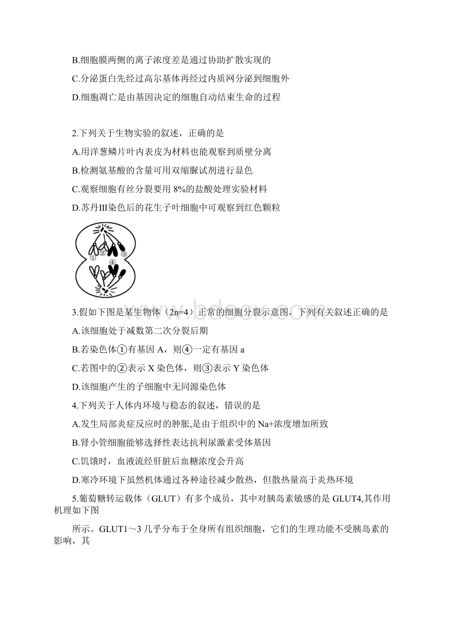 黑龙江省哈尔滨市第三中学届高三第二次模拟考试理科综合试题Word格式.docx_第2页