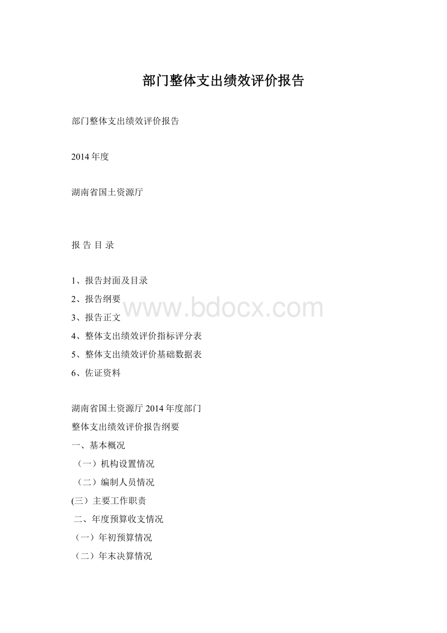 部门整体支出绩效评价报告.docx_第1页