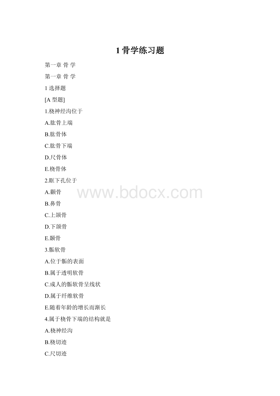 1骨学练习题Word格式文档下载.docx_第1页