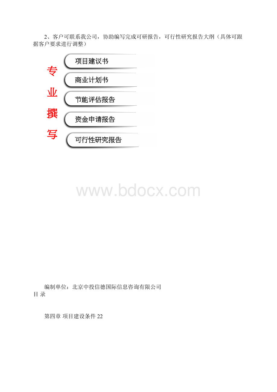 年产无磷化表面处理220万平方米项目可行性研究报告编写说明模板Word.docx_第2页