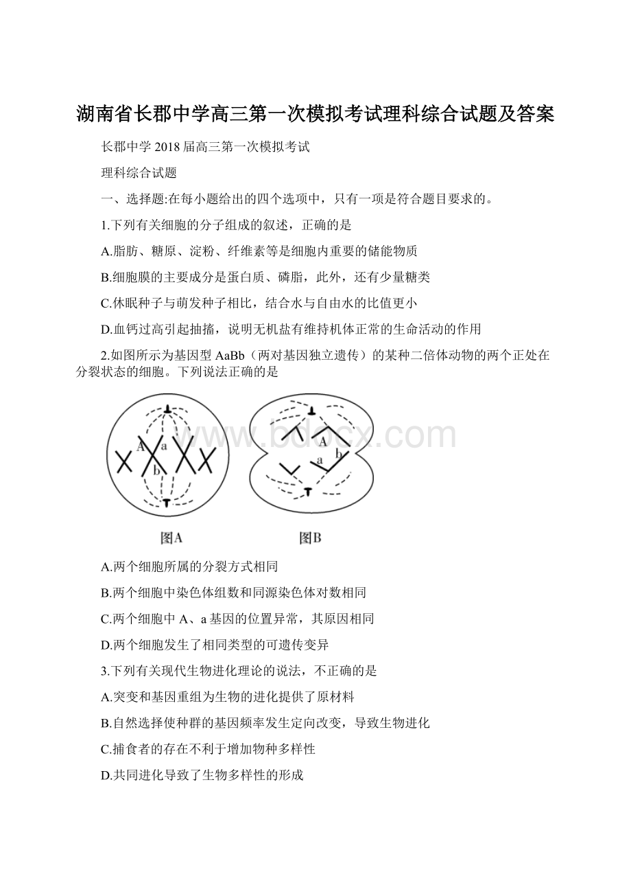 湖南省长郡中学高三第一次模拟考试理科综合试题及答案.docx_第1页