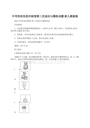 中考英语信息冲刺卷第三次适应与模拟试题 新人教新版.docx