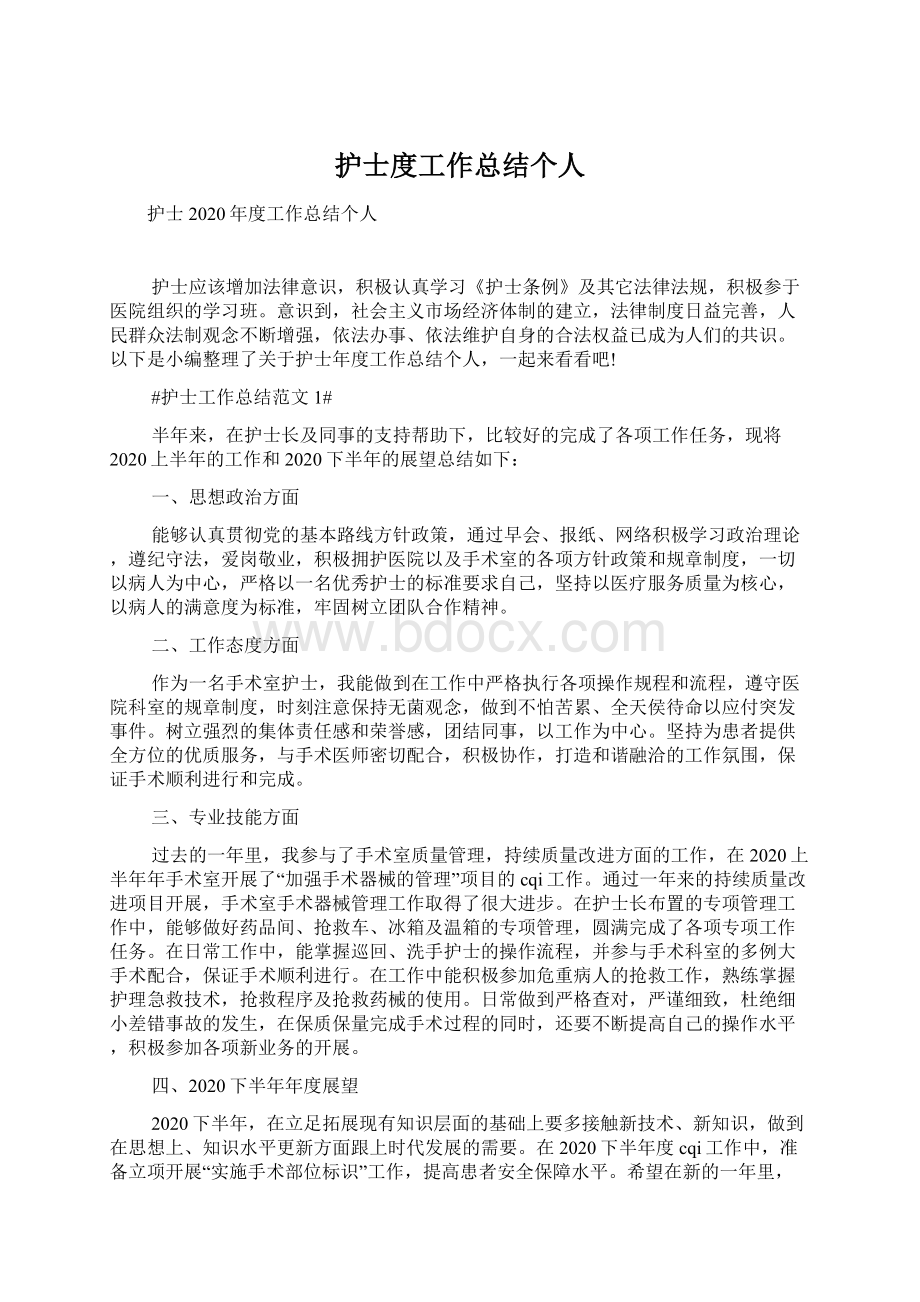 护士度工作总结个人Word文件下载.docx