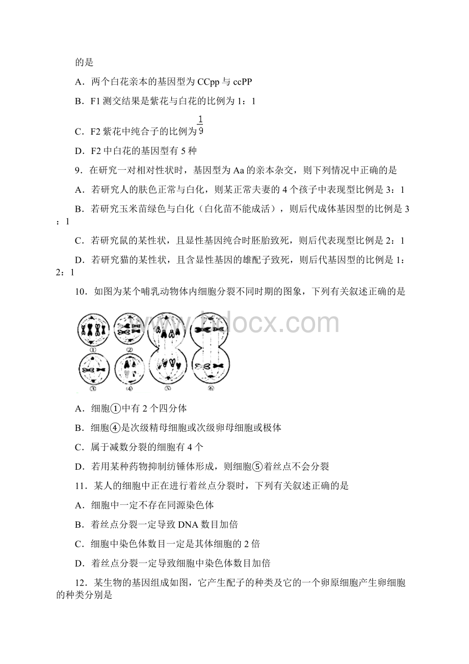 生物河北省石家庄市辛集中学学年高一下学期期中考试Word文档格式.docx_第3页