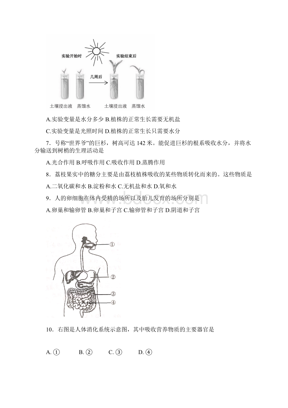 初中学业考试中考生物试题及答案 可下载 可修改 参赛题库复习资料Word文档格式.docx_第2页