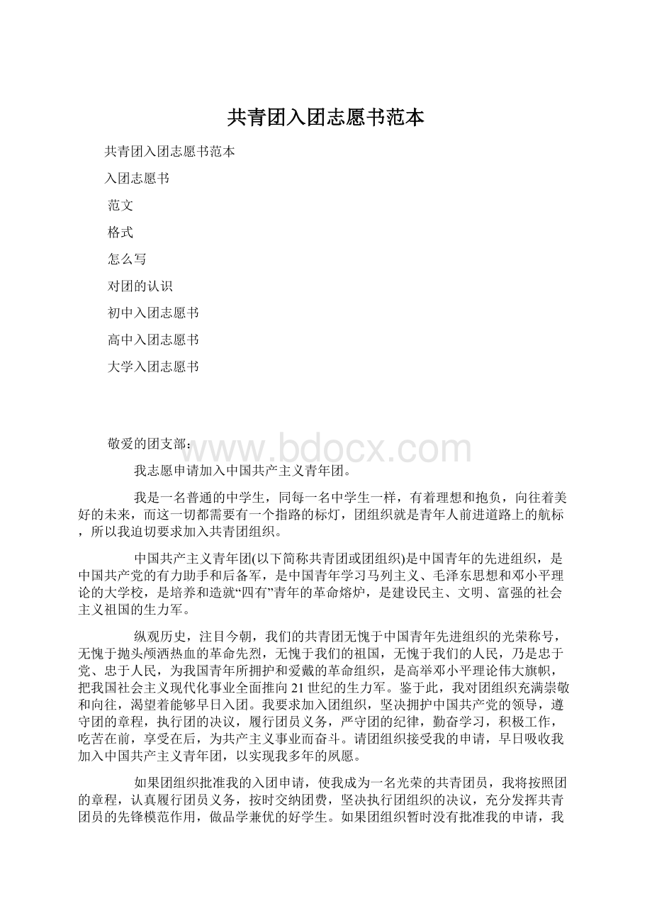 共青团入团志愿书范本文档格式.docx