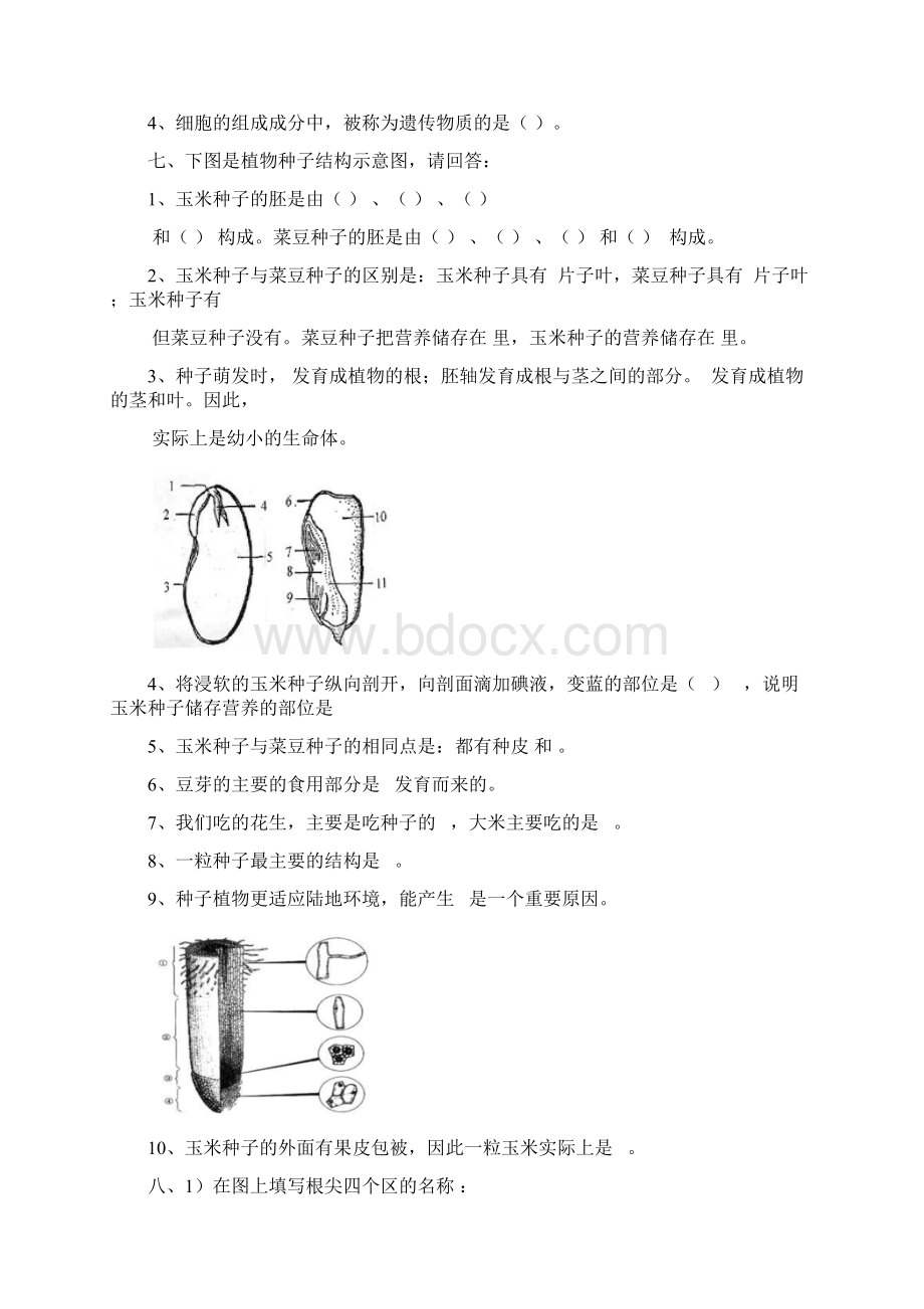 初中生物识图实验和答案.docx_第3页