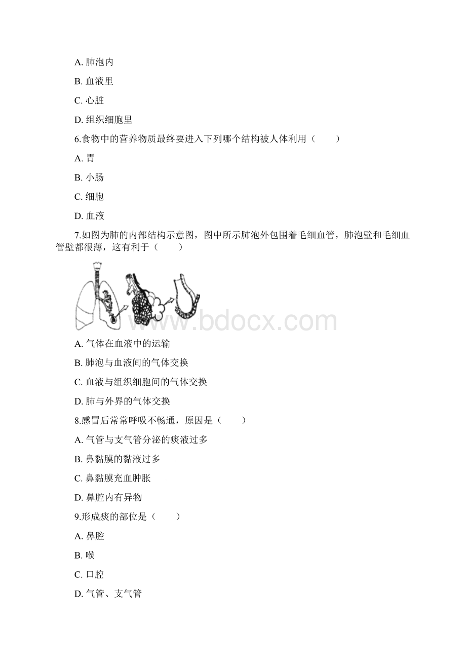 八年级生物中考专项训练 人体的呼吸解析版.docx_第2页