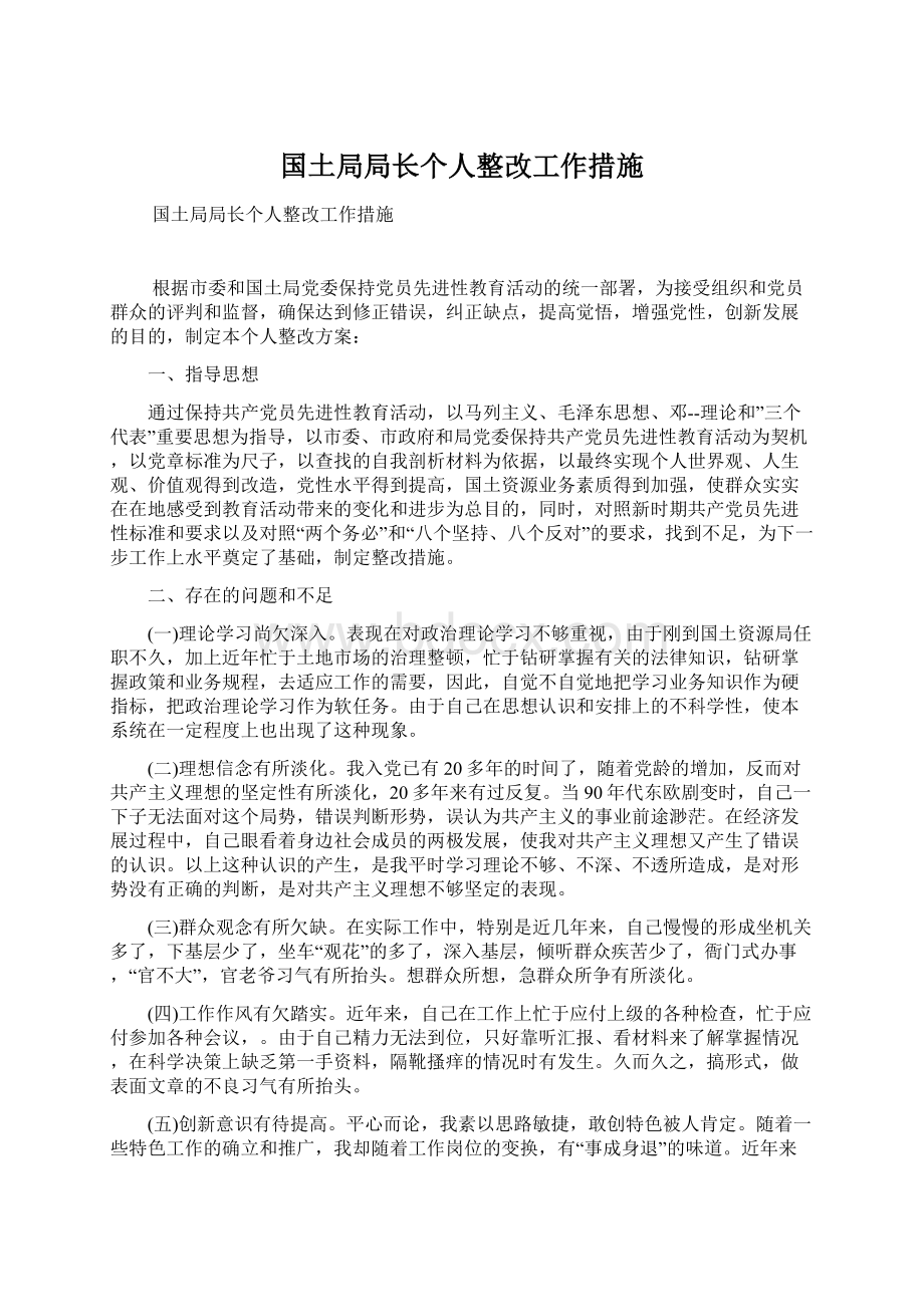 国土局局长个人整改工作措施Word文件下载.docx