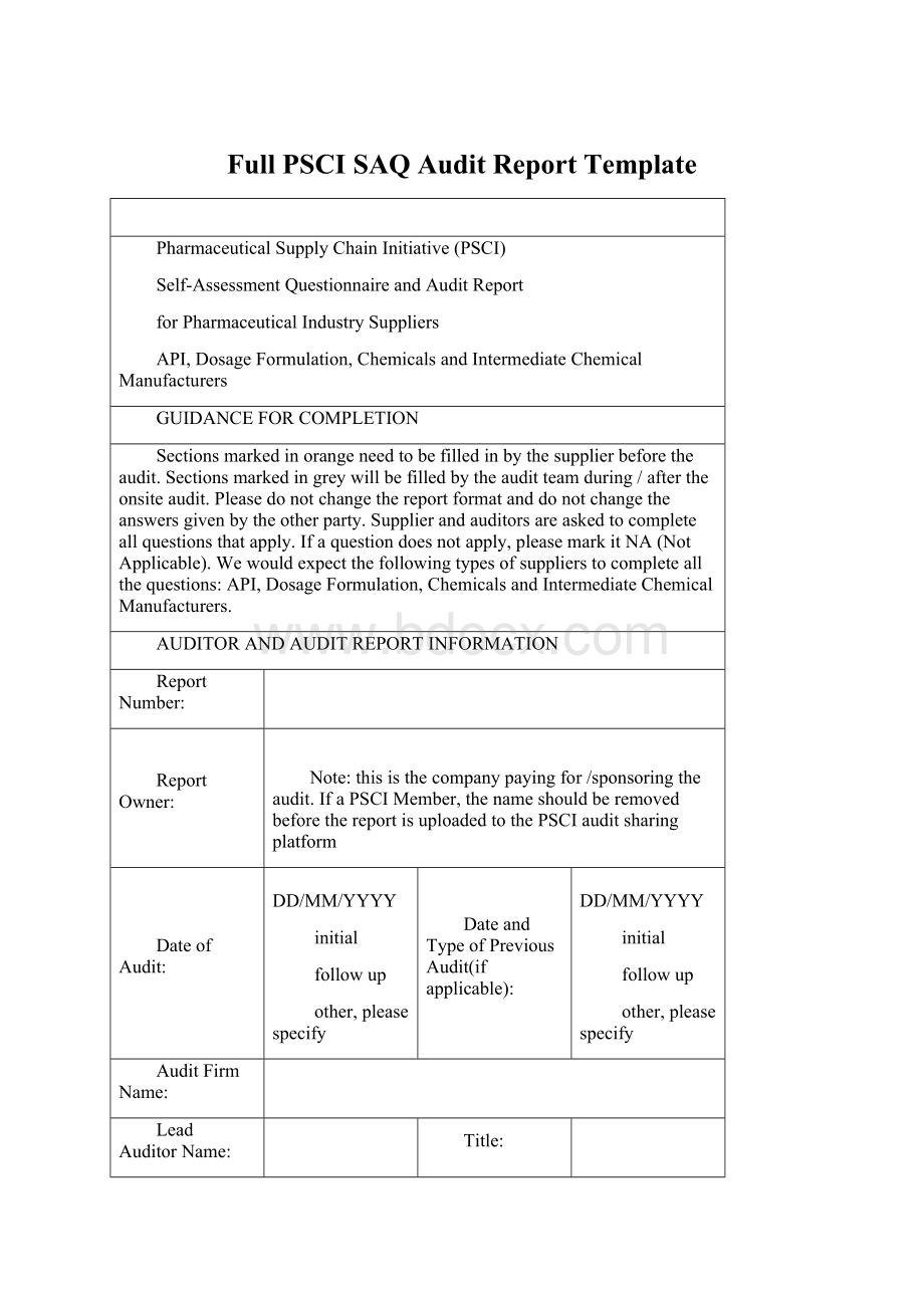 Full PSCI SAQAudit Report Template.docx_第1页