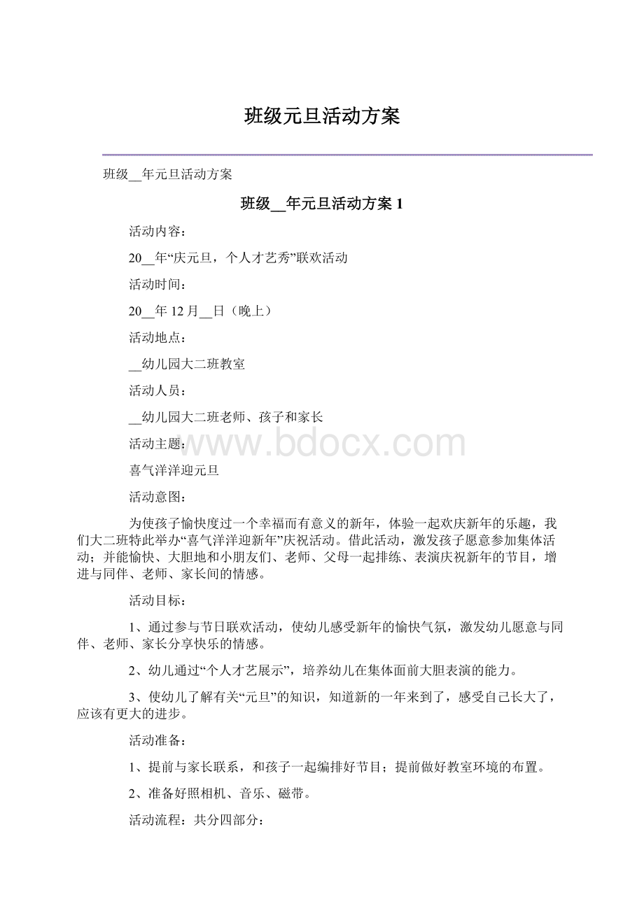 班级元旦活动方案文档格式.docx