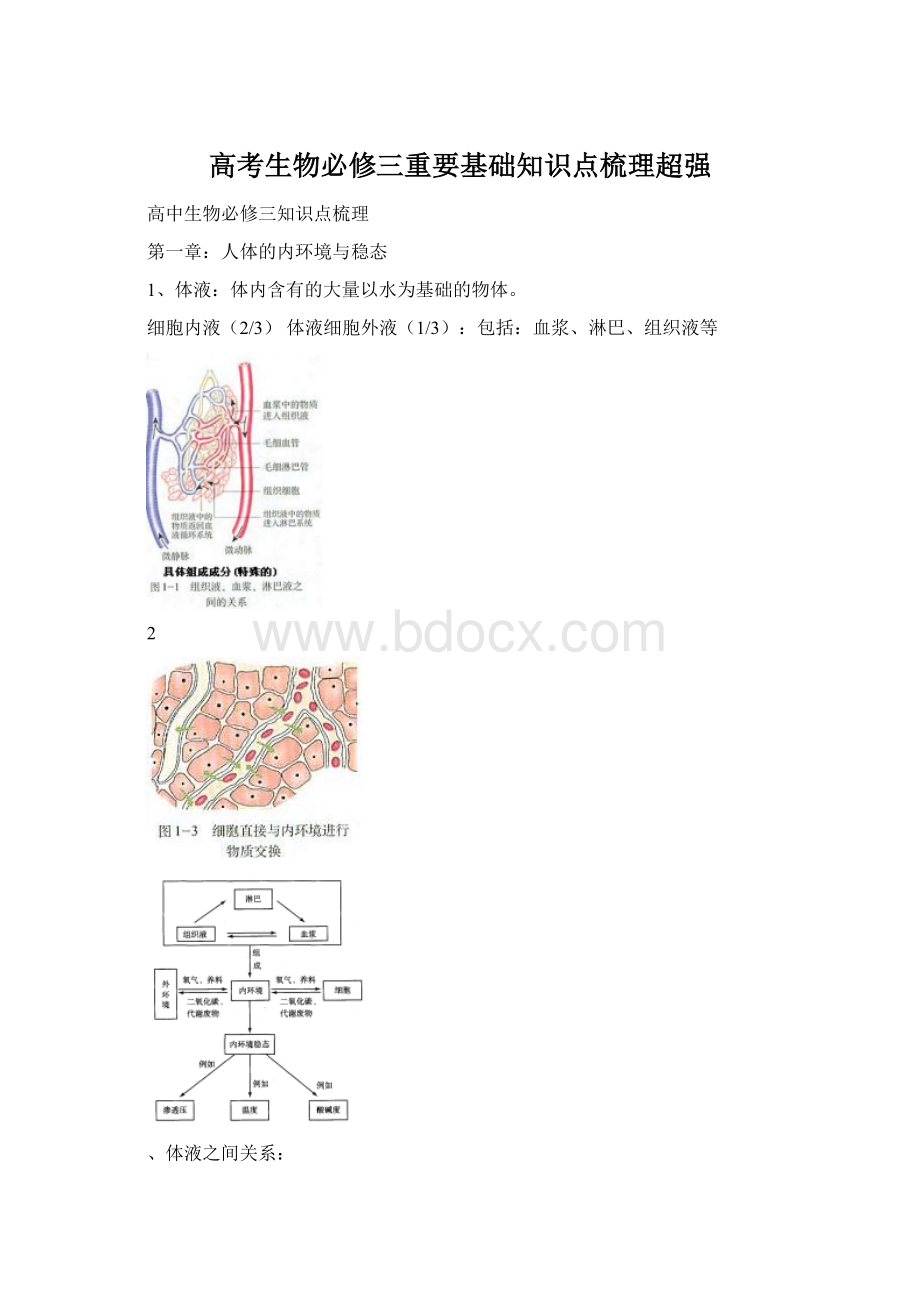 高考生物必修三重要基础知识点梳理超强.docx_第1页