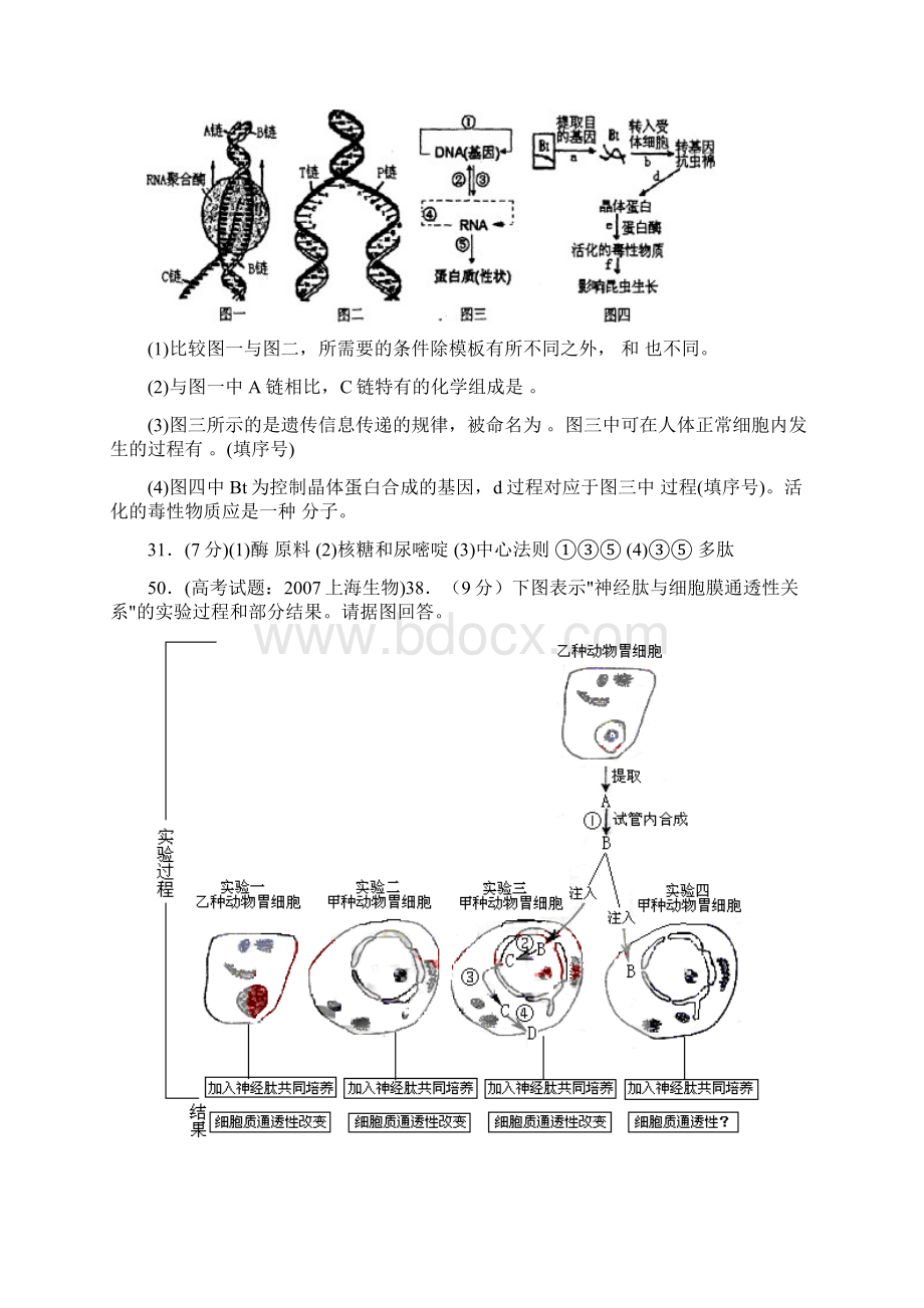 高考遗传变异与进化专题备考训练Word格式.docx_第3页